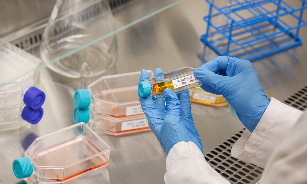 A collage of B30 series labels, covering a wide range of applications.