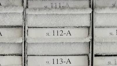 Frozen trays with frost covered white freezerband matte labels.