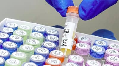 Lab samples with Brady freezerbond labels being prepped for cold storage.