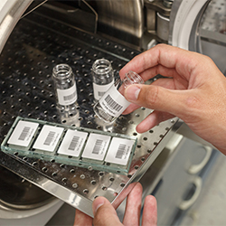 Autoclave_labels_lab